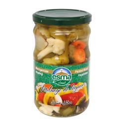 Esma Türlü Tursu 12x660ml