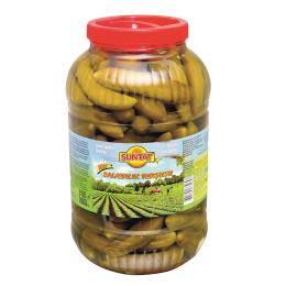 BAKTAT Köy Salatalik Tursu 4x5L PET