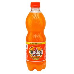 ULUDAG Portakalli Gazoz 24x0,5l PET DPG