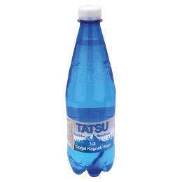 TatSu Doğal Kaynak Suyu 24x0,5l PET Export