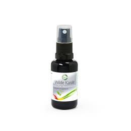 Wilde Karde  Basischer WurzelExtrakt 