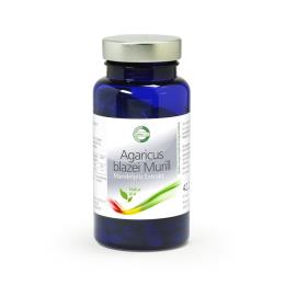 Agaricus blazei Murill mandelpilzextrakt 