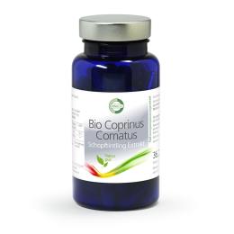 Bio Coprinus Comatus schopftintlingextrakt1 